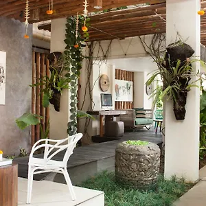 https://grandmas-hotels-seminyak.ubudhotelsnow.com